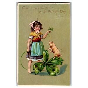 Tuck Brundage 1907 St. Patrick's Day Lithograph Postcard Girl with Pig Undivided